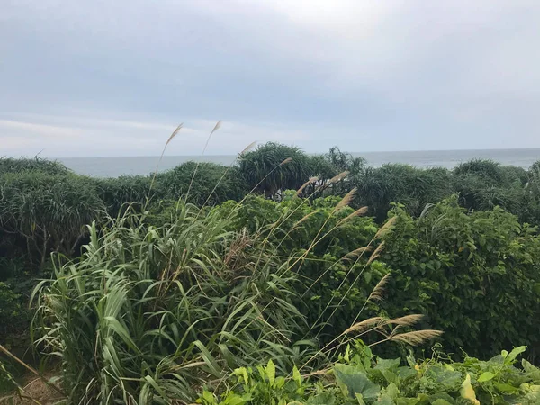 Denize yakın Shimen Bölgesi 'nin doğa manzarası, New Taipei City, Tayvan