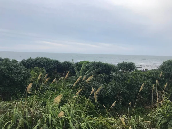 Denize yakın Shimen Bölgesi 'nin doğa manzarası, New Taipei City, Tayvan