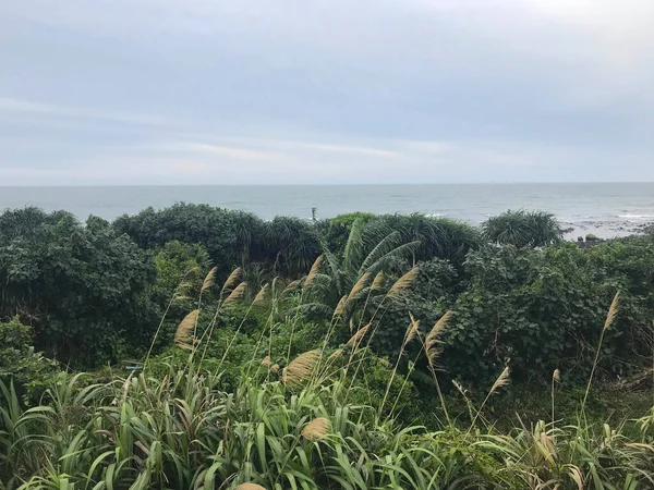 Denize yakın Shimen Bölgesi 'nin doğa manzarası, New Taipei City, Tayvan