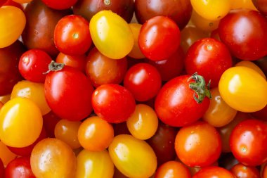 Renkli organik domates arkaplanı çeşitliliği