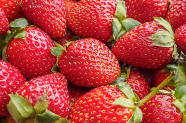 Taze organik çilek arkaplanı