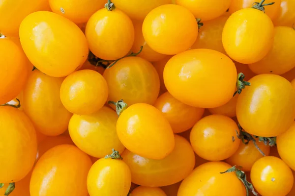 Yellow Ripe Organic Tomato Background — Stock Photo, Image