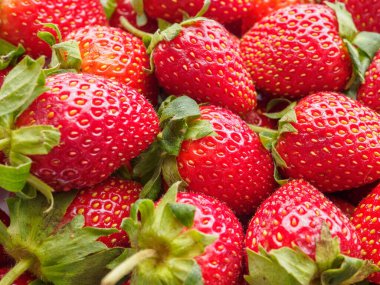 Taze organik çilek arkaplanı