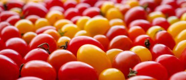 Olgunlaşmış kırmızı organik domates arka planı