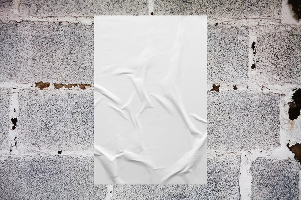 Boş beyaz buğday yapıştırıcısı. Beton duvar arkaplanına yapıştırılmış poster modeli.