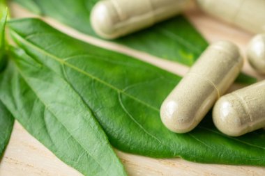 Andrographis paniklemiş ağaç yapraklı bitkisel ilaç kapsülleri.