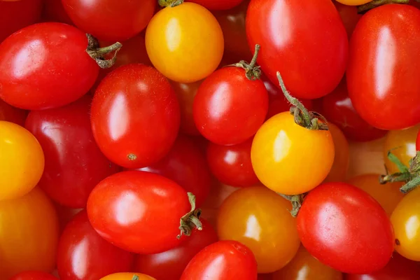 Vielzahl Von Bunten Bio Tomaten Hintergrund — Stockfoto