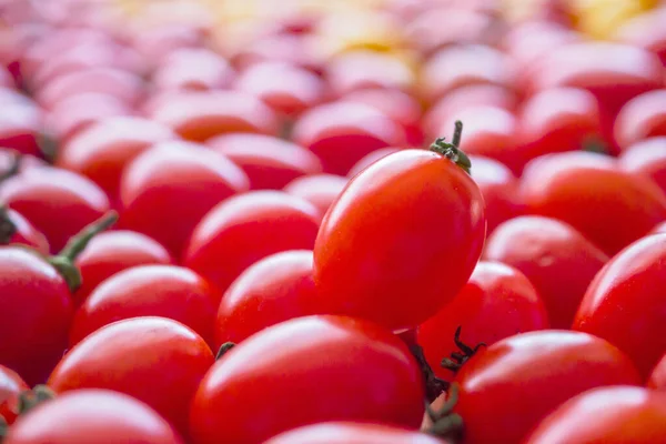 Vermelho Maduro Fundo Tomate Orgânico — Fotografia de Stock