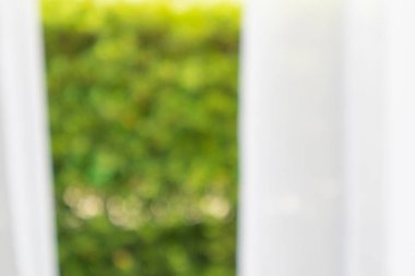 Yeşil bahçe arka planına sahip soyut bulanık perde penceresi