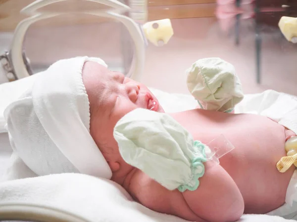 Neugeborenes Baby Schläft Brutkasten Krankenhaus — Stockfoto