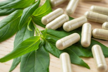 Andrographis paniklemiş ağaç yapraklı bitkisel ilaç kapsülleri.