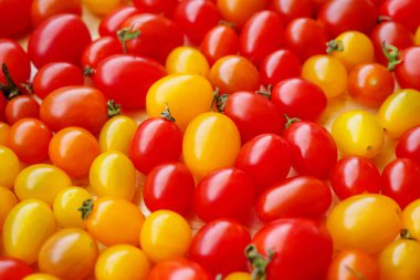 Renkli organik domates arkaplanı çeşitliliği