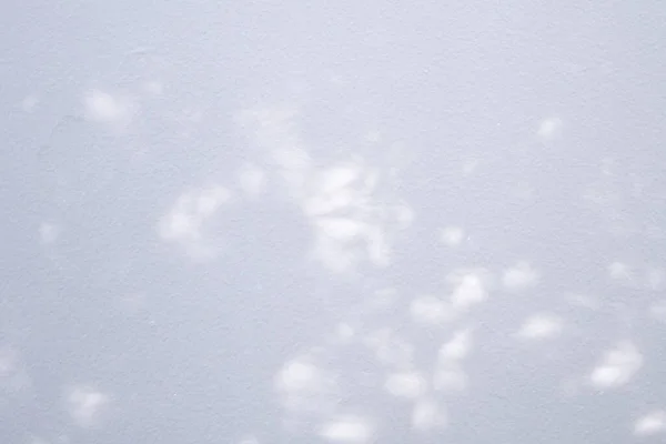 Αφηρημένη Φυσικό Δέντρο Αφήνει Σκιά Λευκό Φόντο Τοίχο — Φωτογραφία Αρχείου