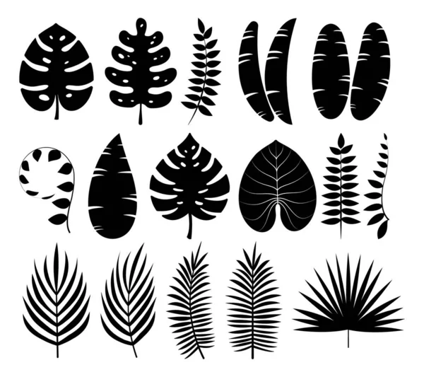 Tropical Leaves Silhouettes Collection White Background Your Design Elements Vector Stock Illustration