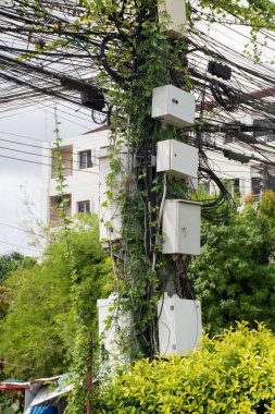 Elektrik, kablolar, internet ve güvenlik kameraları direklere düzgünce yerleştirilmiş. Birçok kablo dolanmış. Elektrik kabloları ve kablolarındaki sarmaşıklar. Potansiyel olarak tehlikeli.