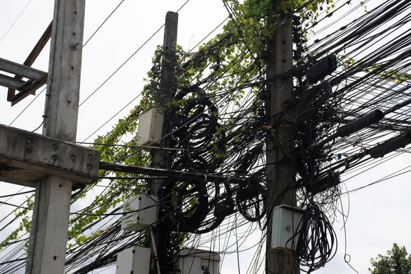 Electricity and cables, internet, and surveillance cameras were neatly installed on poles. Many wires are entangled. The vines on electric lines and cables. Potentially dangerous.