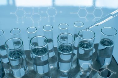 Bilim laboratuarlarında Coronavirus hastalığı (covid-19) deneyleri. Kimyasal maddeyi test tüpüne atın. Birçok test tüpü masaya konur. Kimyasal ve bilimsel deney kavramı. Boşluğu kopyala.