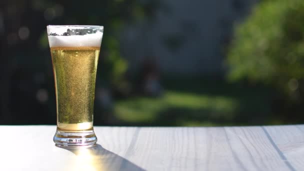 Concetto International Beer Day Ibd Una Celebrazione Primo Venerdì Ogni — Video Stock