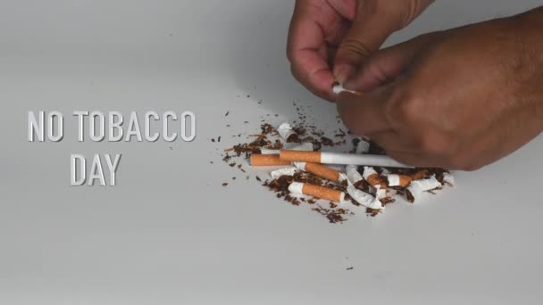 Símbolo Dia Mundial Sem Tabaco Acontece Todo Mundo Maio Todos — Vídeo de Stock