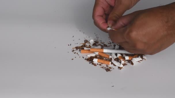 Simbolo Giornata Mondiale Senza Tabacco Svolge Tutto Mondo Maggio Ogni — Video Stock