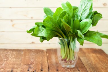 cajas de regalo con la cinta y etiqueta en blanco