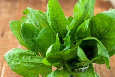 cajas de regalo con la cinta y etiqueta en blanco
