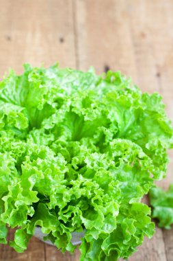 Taze yeşil marul salatası