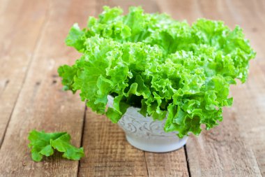 Taze yeşil marul salatası