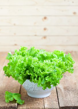 Taze yeşil marul salatası