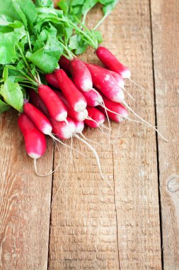 Bir avuç taze turp.