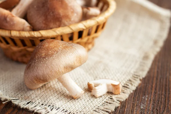 Setas Shiitake sobre mesa de madera —  Fotos de Stock