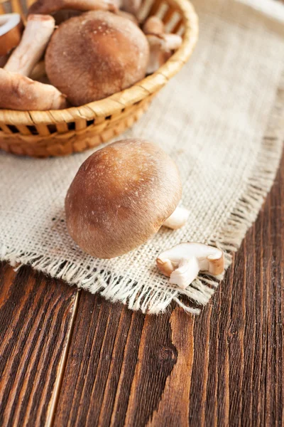 Shiitake mushrooms on wooden table — Stock Photo, Image