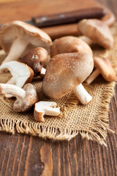 Setas Shiitake sobre mesa de madera —  Fotos de Stock