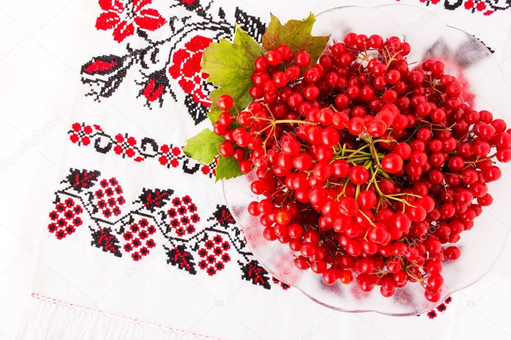 Viburnum on embroidered cross-stitch pattern. Top view