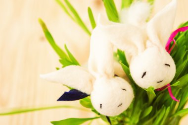 Çimenlerin üzerinde ahşap arka plan olarak el yapımı iki tavşan