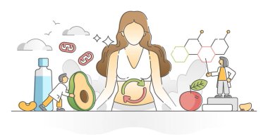 Enerji anahatlarına gıda dönüşümü olarak metabolizma kimyasal reaksiyonu