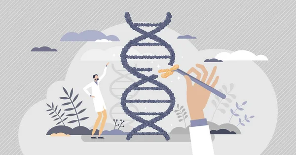 Biologie als Genmanipulation und DNA-Engineering Wissenschaft winzige Person Konzept — Stockvektor
