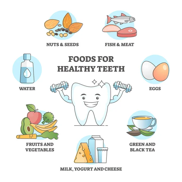 Alimentos para dentes saudáveis como influência da nutrição para o conceito de contorno de cuidados bucais —  Vetores de Stock