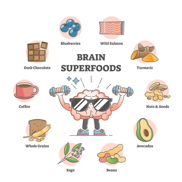 Superalimentos cerebrais como produtos de dieta nutricional para melhorar o conceito de contorno de memória —  Vetores de Stock