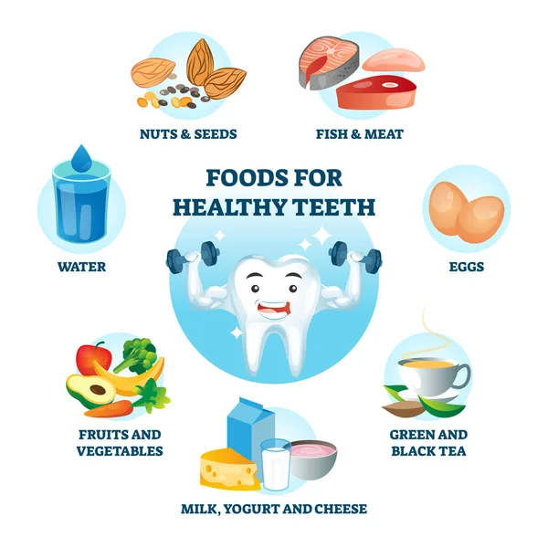 Sağlıklı dişler için beslenme diyeti olarak gıdalar ve oral bakımda ürün etkisi — Stok Vektör