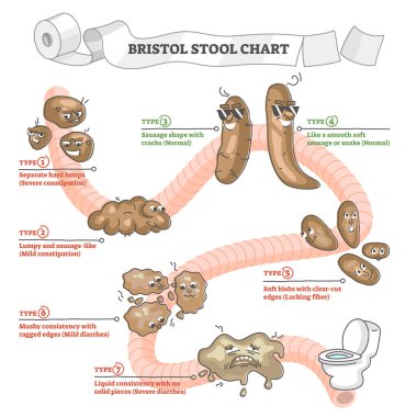 Dışkı tanımı ve özet konsepti içeren Bristol tabure grafiği