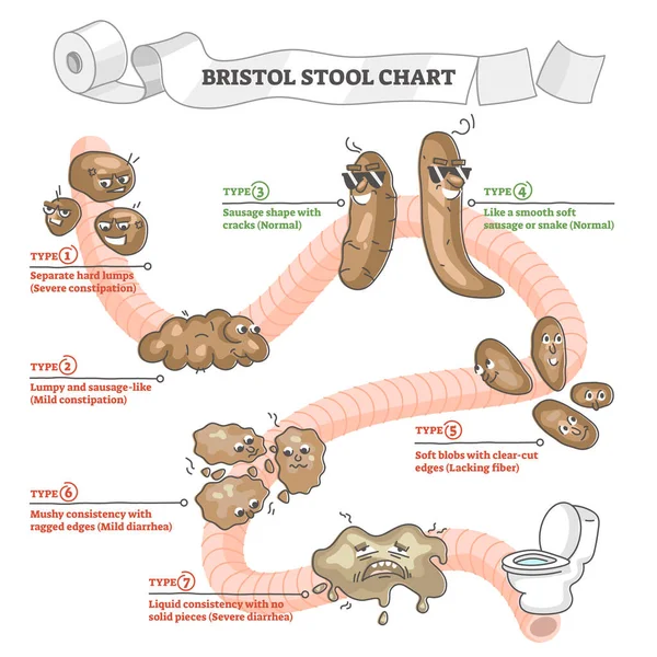 Gráfico de fezes de Bristol com descrição de excrementos e conceito de contorno de tipos — Vetor de Stock