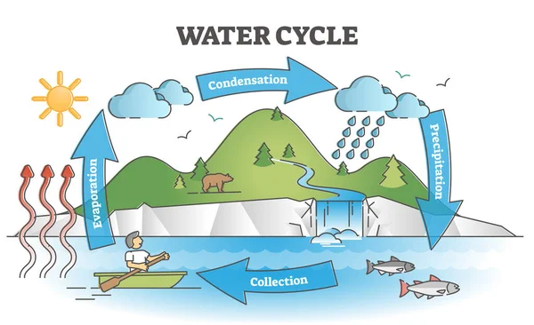 Diagrama de ciclo de água com conceito de contorno de explicação de circulação de chuva simples — Vetor de Stock