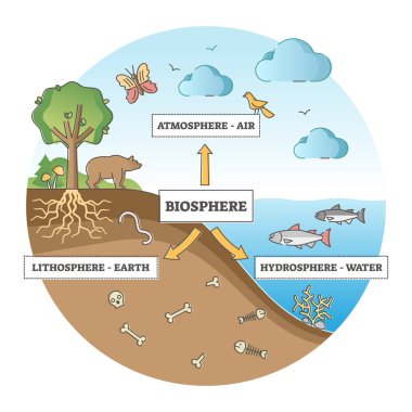 Biosphere division with labeled ecosystem explanation scheme outline concept clipart