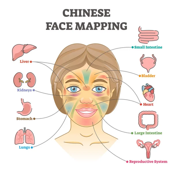 Китайське відображення обличчя як альтернативний діагноз здоров'я Діаграма — стоковий вектор