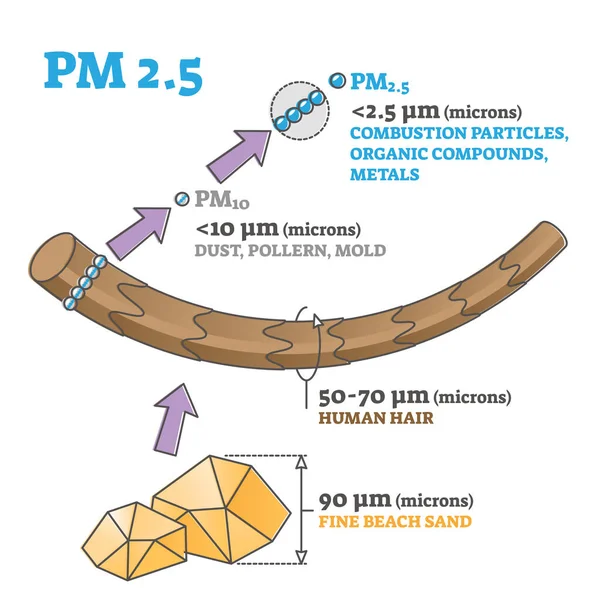 PM 2,5 partiklar storlek eller dimensioner jämfört med hår och sand skissera diagram — Stock vektor