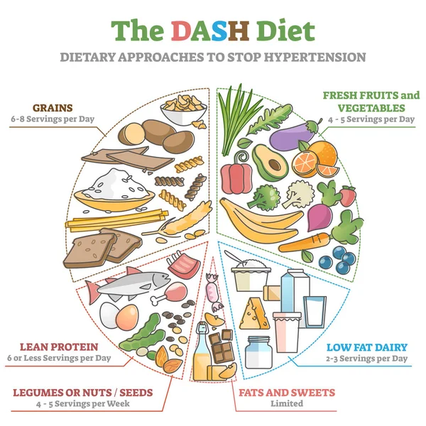 Dieta DASH jako dietní přístup k zastavení hypertenze obrys diagram — Stockový vektor
