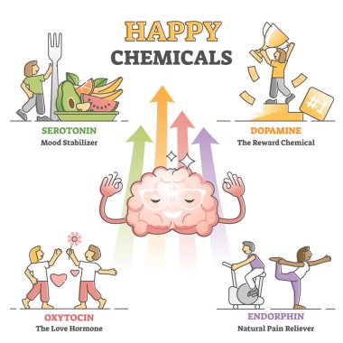 Happy chemicals as good and positive mood hormonal causes outline diagram clipart