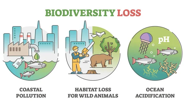 Problemas y causas de la pérdida de biodiversidad a medida que se establece el esquema del problema de la vida silvestre climática — Vector de stock