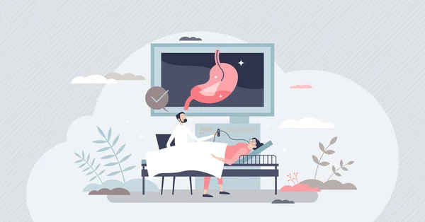 Gastroenterologist occupation as stomach health doctor tiny person concept — стоковый вектор